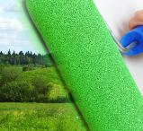 Pigments and Primers