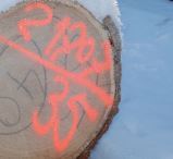 Forest, Road and Industrial Marking Paints