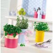 Vopsea spray decorativă DUPLI-COLOR Color Spray, RAL 3000 roșu foc lucios, 400ml
